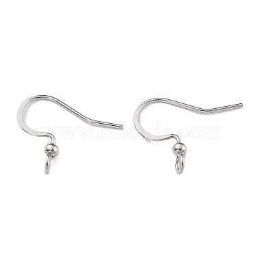 Stainless Steel Color 316 Surgical Stainless Steel Earring Hooks
