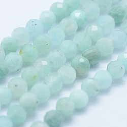 Natural Amazonite Beads Strands, Faceted, Round, Grade AA, 4mm, Hole: 1mm, about 95pcs/strand, 15.35 inch(39cm)(G-E411-43-4mm)