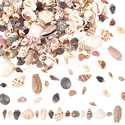 Nbeads 15 Styles Natural Shell Display Decorations, for DIY Craft, Jewelry Making, Home/Party Decoration, Mixed Color, 1~35x1~35x0.5~20mm(FIND-NB0003-18)