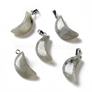 Natural Labradorite Pendants, Moon Charms, with Platinum Tone Brass Findings, 25~25.5x12x5.5mm, Hole: 6x2.5mm(G-Z022-05C)