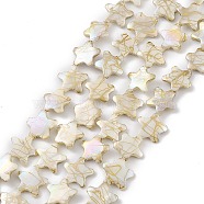 Drawbench Style Natural Freshwater Shell Beads Strands, Star, Cornsilk, 18~19.5x18~20x3~4mm, Hole: 0.9mm, about 19~20pcs/strand, 13.58~13.98''(34.5~35.5cm)(BSHE-E028-04)