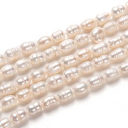 Natural Cultured Freshwater Pearl Beads Strands, Rice, Bisque, 6~8x4~5mm, Hole: 0.7mm, about 52pcs/strand, 14.17 inch(36cm)(PEAR-L033-60)