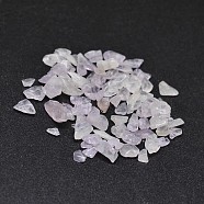 Natural Amethyst Chip Beads, No Hole/Undrilled, 2~8x2~4mm(G-O103-03)