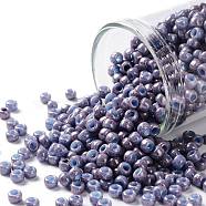 TOHO Round Seed Beads, Japanese Seed Beads, (1204) Opaque Light Blue Amethyst Marbled, 8/0, 3mm, Hole: 1mm, about 222pcs/bottle, 10g/bottle(SEED-JPTR08-1204)