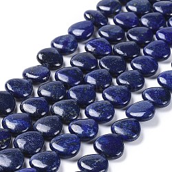 Natural Lapis Lazuli Heart Bead Strands, Dyed, 16x16x6.5mm, Hole: 1mm, about 26pcs/strand, 15.3 inch(X-G-M264-01)