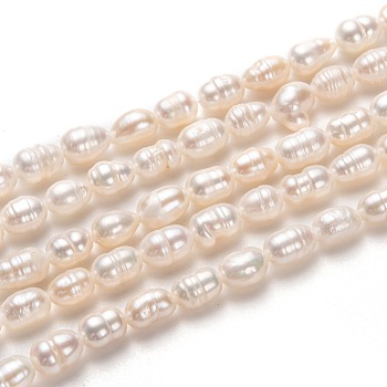 Natural Cultured Freshwater Pearl Beads Strands, Rice, Bisque, 6~8x4~5mm, Hole: 0.7mm, about 52pcs/strand, 14.17 inch(36cm)