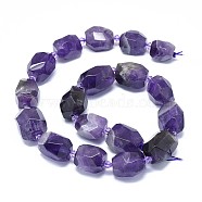 Natural Amethyst Beads Strands, Faceted, Oval, 14~21x10.5~15.5mm, Hole: 1.6mm, about 16~18pcs/strand, 15.4 inch(39.3cm)(G-F632-47)