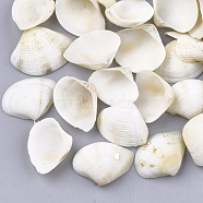 Clam Shell Beads, Undrilled/No Hole Beads, Floral White, 14~20x17~26x5~6mm, about 530~590pcs/500g(SSHEL-S258-49)