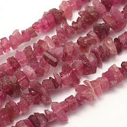 Rough Raw Natural Tourmaline Beads Strands, Nuggets, 3~4x6~9x5~7mm, Hole: 0.5mm, 16.1 inch(40.9cm)(G-K202-29A)