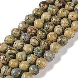 Natural Verdite Stone Beads Strands, Round, 6mm, Hole: 1mm, about 61~67pcs/strand, 15.16''(38.5cm)(G-P530-B07-02)