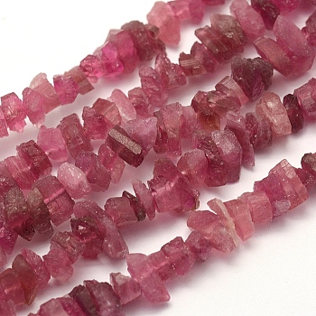 Rough Raw Natural Tourmaline Beads Strands, Nuggets, 3~4x6~9x5~7mm, Hole: 0.5mm, 16.1 inch(40.9cm)