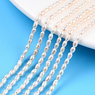 Natural Cultured Freshwater Pearl Beads Strands, Rice, Seashell Color, 3~4x2.5~3mm, Hole: 0.6mm, about 98~99pcs/strand, 13.86 inch~13.94 inch(35.2~35.4cm)(PEAR-N012-02K)