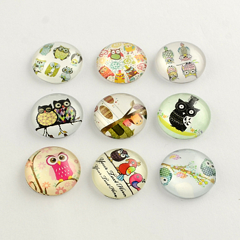 Cartoon Owl Pattern Flatback Half Round/Dome Glass Cabochons for DIY Projects, Mixed Color, 12x4mm