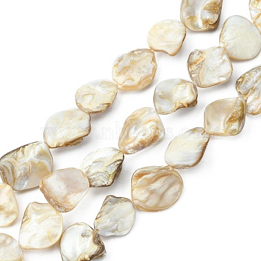 18mm Seashell Rhombus Freshwater Shell Beads