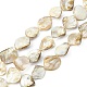 Handmade Natural Shell Beads Strands(X-PBB471-1)-1