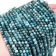 Natural Apatite Beads Strands, Faceted, Round, 4.5mm, Hole: 0.7mm, about 96pcs/strand, 15.55 inch(39.5cm)(G-C127-A01-02)