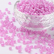 6/0 Glass Seed Beads, Ceylon, Round, Round Hole, Medium Orchid, 6/0, 4mm, Hole: 1.5mm, about 500pcs/50g, 50g/bag, 18bags/2pounds(SEED-US0003-4mm-155)
