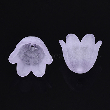 Transparentes bouchons acrylique de perles(X-FACR-N005-002F)-3