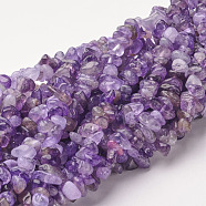 Natural Amethyst Beads Strands, Chips, Purple, Purple, 2.5~7x3~11mm, Hole: 1mm, 34 inch(G-D283-3x5-7)
