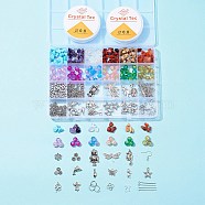 DIY Earring Making Kit, Including Gemstone Chip Beads, Glass Crackle Beads & Seed Beads, Earring Hook, Ear Nut, Pendant, Spacer Beads, Head Pin, Jump Ring, Elastic Thread, Mixed Color(DIY-FS0002-72)