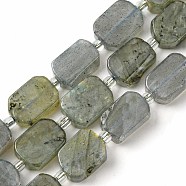 Natural Labradorite Beads Strands, with Seed Beads, Rectangle, 11.5~12.5x7.5~10x5~6.5mm, Hole: 0.8~0.9mm, about 13pcs/strand, 7.68~8.07 inch(19.5~20.5cm)(G-C098-A05-01)