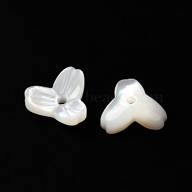 Natural White Shell Beads(SSHEL-M022-09)-2