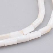 Natural Shell Bead Strands, Dyed, Column, Floral White, 8x4mm, Hole: 0.5mm, about 50pcs/strand, 15.7 inch(BSHE-P016-05)