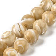 Natural Trochus Shell Beads Strands, Round, BurlyWood, 14~14.5mm, Hole: 1.2mm, about 28pcs/strand, 15.20''(38.6cm)(SHEL-K006-18B)