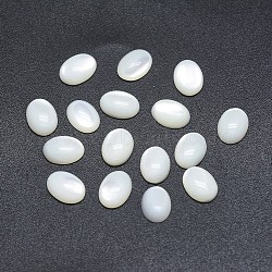 Shell Cabochons, Oval, 24.5~25x17~18x3.5mm(SSHEL-P015-59E)