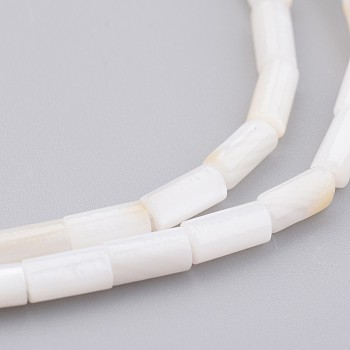 Natural Shell Bead Strands, Dyed, Column, Floral White, 8x4mm, Hole: 0.5mm, about 50pcs/strand, 15.7 inch