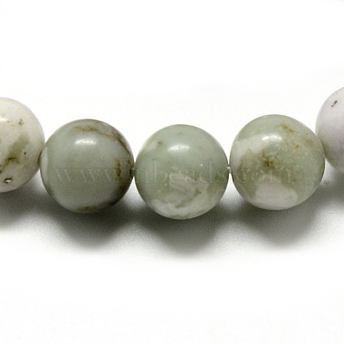 Natural Peace Jade Beads Strands(G-Q462-50-8mm)-2