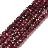 Natural Garnet Beads Strands, Faceted, Round, 2~2.5mm, Hole: 0.4mm, about 191pcs/strand, 15.35''(39cm)(G-I341-09A)