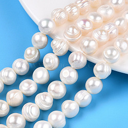 Natural Cultured Freshwater Pearl Beads Strands, Potato, Creamy White, 10~11mm, Hole: 0.6mm, about 17~18pcs/strand, 6.69~7.48 inch(17~19cm)(PEAR-N013-10F)