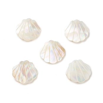 Natural Sea Shell Pendants, Shell Shape Charms, 21x21x1.5mm, Hole: 1mm