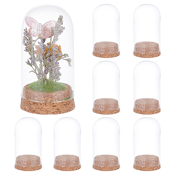 10Pcs Glass Dome Cover, Decorative Display Case, Cloche Bell Jar Terrarium with Wood Base, Arch, Clear, 90x47.5mm