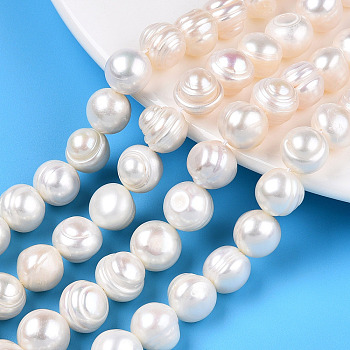 Natural Cultured Freshwater Pearl Beads Strands, Potato, Creamy White, 10~11mm, Hole: 0.6mm, about 17~18pcs/strand, 6.69~7.48 inch(17~19cm)