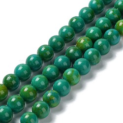 Natural Howlite Beads Strands, Dyed, Round, 10mm, Hole: 1.4mm, about 40pcs/strand, 15.43''(39.2cm)(G-E604-B05-C)