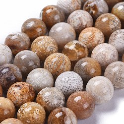 Natural Fossil Coral Beads Strands, Round, 8mm, Hole: 1mm, about 49pcs/strand, 15.3 inch(X-G-D135-8mm-01)