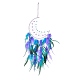 Iron Woven Web/Net with Feather Pendant Decorations(AJEW-P097-06)-1