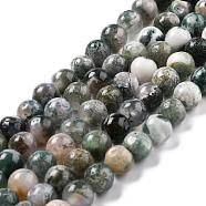 Natural Tree Agate Beads Strands, Round, 8mm, Hole: 1.2mm, about 47pcs/strand, 15.35 inch(39cm)(G-I199-03-8mm)