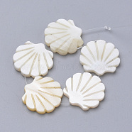 Natural Freshwater Shell Beads, Scallop Shape, Creamy White, 27~29x28~30x2.5~3mm, Hole: 1mm(X-SHEL-T007-05)