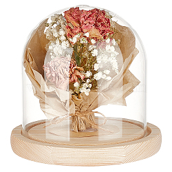 Glass Dome Cover, Decorative Display Case, Cloche Bell Jar Terrarium with Wood Base, for DIY Preserved Flower Gift, Blanched Almond, 142x140mm(DIY-WH0430-621A)