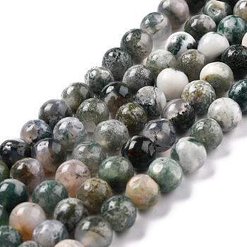 Natural Tree Agate Beads Strands, Round, 8mm, Hole: 1.2mm, about 47pcs/strand, 15.35 inch(39cm)