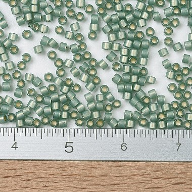 Perles miyuki delica(X-SEED-J020-DB2190)-4