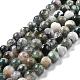 Natural Tree Agate Beads Strands(G-I199-03-8mm)-1