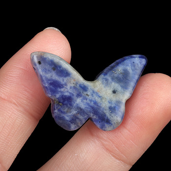 Natural Sodalite Pendants, Butterfly Charms, 20x30x7mm