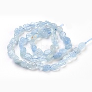 Natural Aquamarine Beads Strands, Tumbled Stone, Nuggets, 7~11x5~8mm, Hole: 0.8mm, about 51pcs/strand, 15.6 inch(39.8cm)(X-G-F575-11)