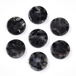 Natural Larvikite Cabochons, Flat Round, 15x3mm(G-T141-33C)