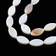 Eau douce naturelle de coquillage perles brins(SHEL-Q024A-017)-4