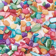 Handmade Shell Beads, No Hole/Undrilled, Chip, Dyed, Mixed Color, 4~14x2~5x0.7~3.5mm, about 5000pcs/500g(BSHE-L037-01)